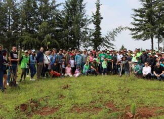 Arranca PVEM re forestación “un árbol por un voto”, comprometida el campaña
