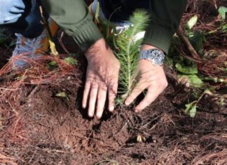 Ambientalista y sustentable, así es el nuevo PRD Michoacán