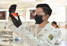 QFB, con materias asignadas para el próximo ciclo escolar