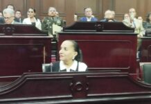 PRD perdió su rumbo: Julieta Gallardo Mora