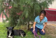 Aumento de Abandono de Mascotas en Ciudad Salud Preocupa a Activistas