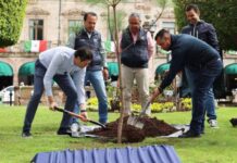ALFONSO MARTÍNEZ PLANTA EL ÁRBOL ‘UN MILLÓN » EN MORELIA