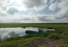 SEQUÍA EN LAGO DE CUITZEO HA AFECTADO AL 80% DE LA POBLACIÓN DE LA TENENCIA DE MARIANO ESCOBEDO
