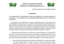 FRENAN EMPAQUE DE LIMÓN, 32 EMPRESAS DE APATZINGÁN