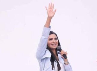 SE INVESTIGA VIOLENCIA POLÍTICA CONTRA LA SENADORA DE MICHOACÁN