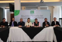 PVEM RESPALDA EL PLAN MORELOS, CON ÉNFASIS EN LA AGENDA AMBIENTAL