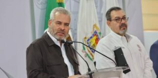 SE ENVIÓ A EMPAQUES DE AGUACATE, LISTA DE HUERTAS QUE INCURRIERON EN DEFORESTACIÓN: BEDOLLA