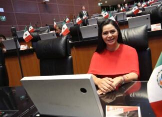 ARACELI SAUCEDO PRESIDIRÁ COMISIÓN DE PUERTOS E INFRAESTRUCTURA MARÍTIMA EN EL SENADO