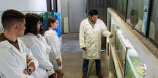 MAESTRÍA EN CIENCIAS BIOLÓGICAS DE LA UMSNH, UNA OPCIÓN PARA TU CRECIMIENTO PROFESIONAL