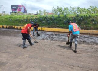 Gobierno de Morelia da limpieza integral a la colonia Agustín Arriaga Rivera