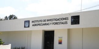 Abierta convocatoria para ingresar a la Maestría en Producción Agropecuaria de la UMSNH