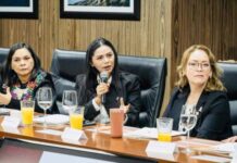 ARACELI SAUCEDO GESTIONA ANTE FEDERACIÓN APOYO PARA EL SECTOR AGROPECUARIO DE MICHOACÁN