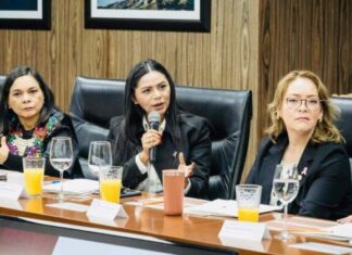 ARACELI SAUCEDO GESTIONA ANTE FEDERACIÓN APOYO PARA EL SECTOR AGROPECUARIO DE MICHOACÁN