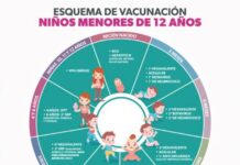 ESTAS VACUNAS PUEDES APLICAR A NIÑAS Y NIÑOS EN CENTROS DE SALUD DE LA SSM