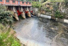 DETIENE CNA DESFOGUE DE LA PRESA DE COINTZIO