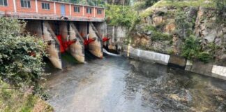 DETIENE CNA DESFOGUE DE LA PRESA DE COINTZIO