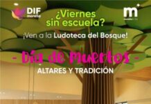 DIF MORELIA OFRECE TALLER ESPECIAL DE DÍA DE MUERTOS PARA NIÑAS Y NIÑOS ESTE VIERNES DE CONSEJO TÉCNICO