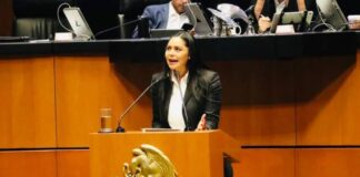 ARACELI SAUCEDO PROPONE FORTALECER LEGISLACIÓN Y CERRARLE PASO A LA VIOLENCIA POLÍTICA EN MÉXICO