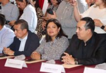 Eréndira Isauro lidera Comisión de Derechos Indígenas en Michoacán