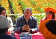 Tarímbaro celebrará la Fiesta de la Flor de Cempasúchil 2024