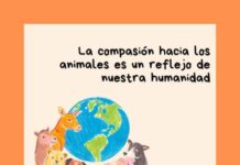 Maltrato animal en Michoacán aumenta 40% y 99% de casos sigue impune