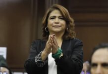 Despenalización del aborto, primer paso para garantizar derechos de las mujeres: Fabiola Alanís