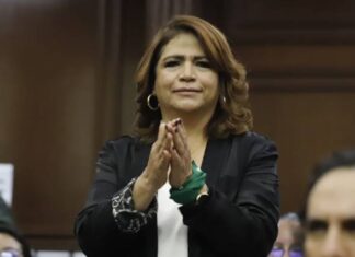 Despenalización del aborto, primer paso para garantizar derechos de las mujeres: Fabiola Alanís