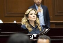 Por un futuro libre para niñas, adolescentes y mujeres, a favor de la despenalización del aborto: Brissa Arroyo