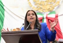 Presenta diputada Tere Herrera iniciativa para garantizar atención integral a mujeres embarazadas