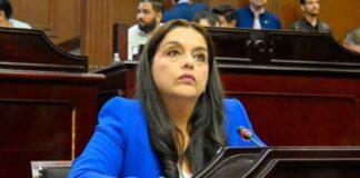 Va diputada Tere Herrera por la defensa de los derechos de las familias