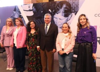 Comisión de Igualdad Sustantiva y de Género del Poder Legislativo velará por los derechos de las mujeres en Michoacán