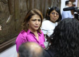 FEDERACIÓN ASUME EL CASO DEL PERIODISTA MAURICIO CRUZ: FABIOLA ALANÍS