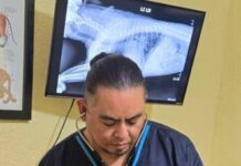 Aumento del 60% en Enfermedades Respiratorias en Mascotas durante Lluvias y Frentes Fríos