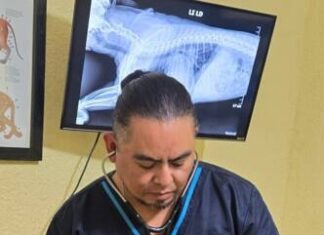 Aumento del 60% en Enfermedades Respiratorias en Mascotas durante Lluvias y Frentes Fríos