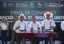 ASUME GOBIERNO DE MICHOACÁN COORDINACIÓN DEL TIANGUIS LIMONERO DE APATZINGÁN