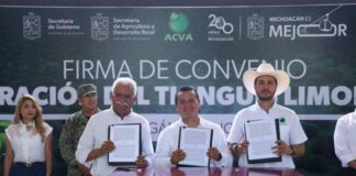 ASUME GOBIERNO DE MICHOACÁN COORDINACIÓN DEL TIANGUIS LIMONERO DE APATZINGÁN