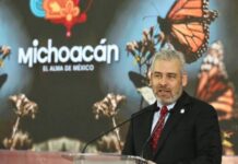 LLEGAN LAS MARIPOSAS MONARCA A MICHOACÁN; ACOMPAÑARÁN LA NOCHE DE MUERTOS