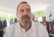 HAY 800 HUERTAS ILEGALES EN MICHOACÁN; PODRÍAN PROVOCAR CIERRE AL COMERCIO DEL AGUACATE