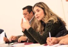 Diputada Brissa Arroyo proyecta Plan de Trabajo en el Comité de Atención Ciudadana