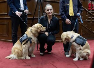 Impulsa Sandra Arreola reforma en favor de las personas con discapacidad en la entidad