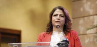 «Cada Día se Cometen 10 Feminicidios en México: Fabiola Alanís»