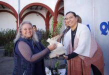 Entregan árboles frutales en Quiroga para impulsar la economía local y fortalecer la seguridad alimentaria