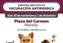 SSM anuncia vacunación antirrábica este fin de semana en el Centro de Morelia