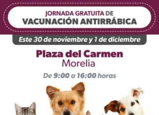 SSM anuncia vacunación antirrábica este fin de semana en el Centro de Morelia