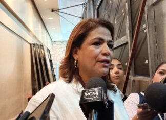REFORMA A LA UMSNH, SUBIRÁ A ANÁLISIS EL JUEVES: FABIOLA ALANÍS