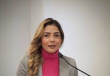 Asumo la agenda de los derechos humanos como propia: Brissa Arroyo