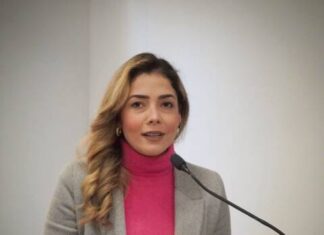 Asumo la agenda de los derechos humanos como propia: Brissa Arroyo