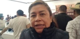 «Belinda Iturbide: Prioridades en Salud y Seguridad para un Michoacán Fuerte en 2025»