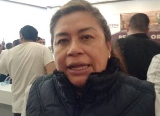 «Belinda Iturbide: Prioridades en Salud y Seguridad para un Michoacán Fuerte en 2025»