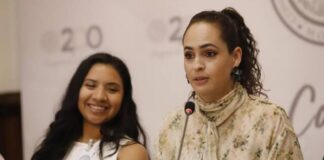 Presentan iniciativa para incluir educación ambiental en escuelas de Michoacán